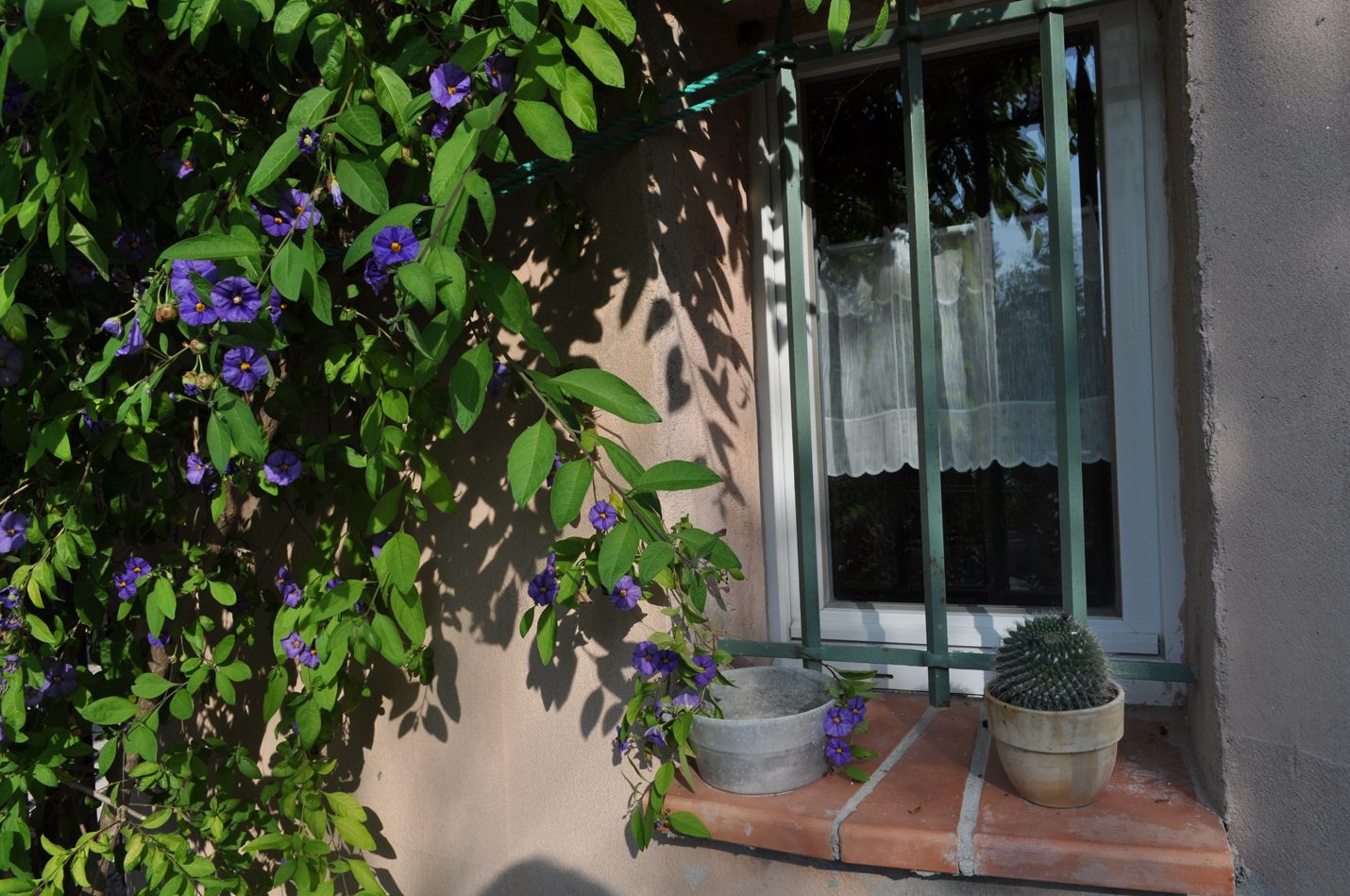 50 m2 a Ceyreste + 550 m2 de jardin avec piscine — photo 13